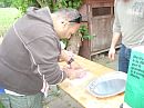 DSC03948.JPG 2048x1536 - (761421 bytes)
